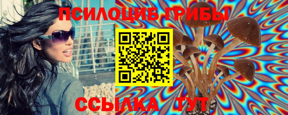 Псилоцибиновые грибы Magic Shrooms  купить наркотики сайты  Мелеуз  Вход с VPN 